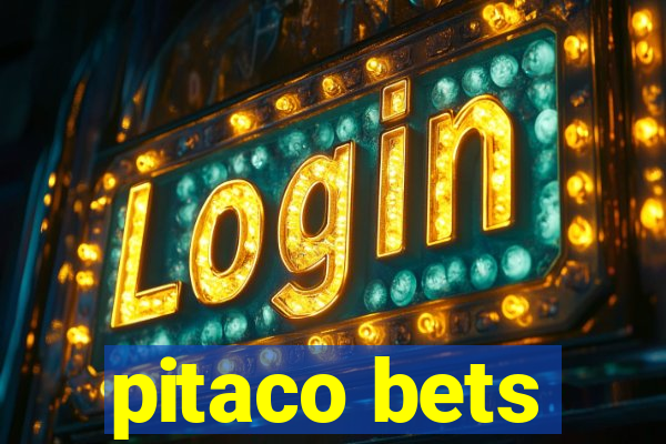 pitaco bets